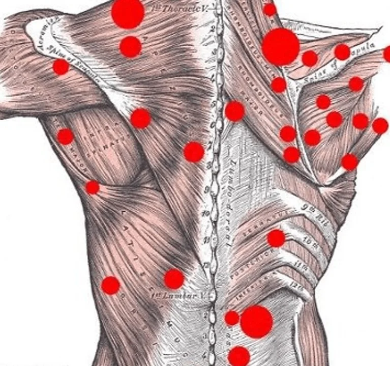 Spine Orthopedic Regenerative Medicine spine-orthopedic-regenerative-medicine